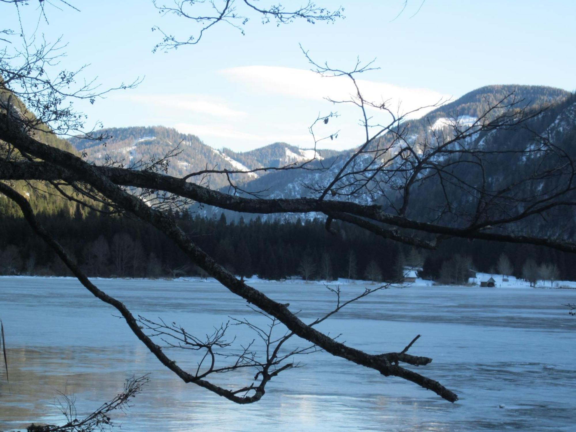 Ferienwohnung Moser Am See Millstatt Buitenkant foto
