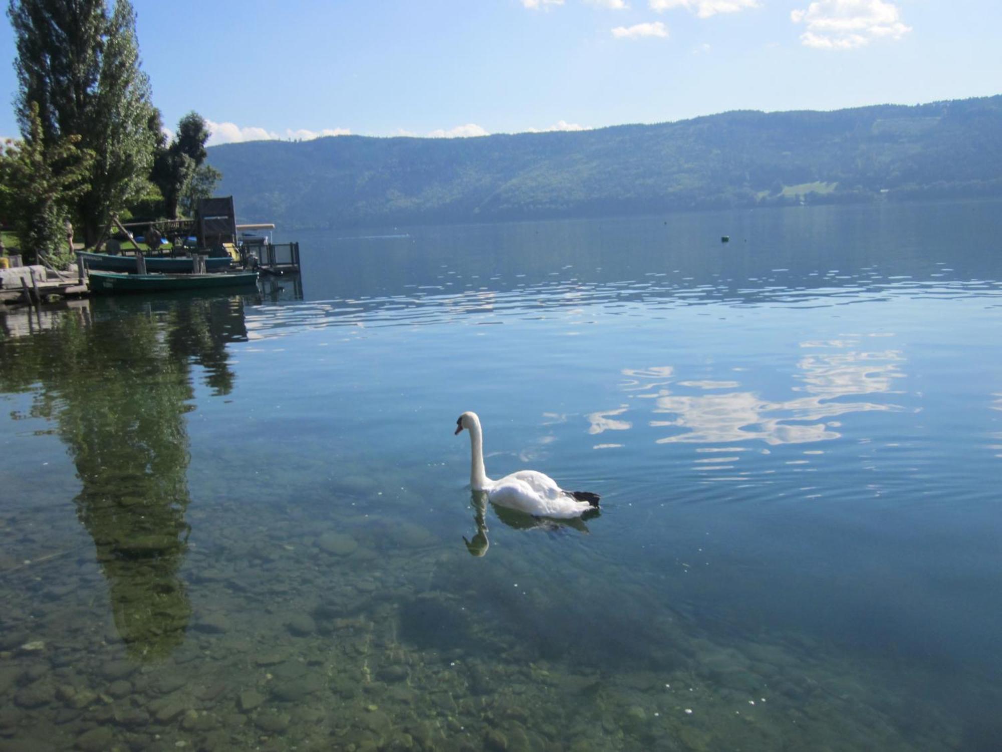 Ferienwohnung Moser Am See Millstatt Buitenkant foto