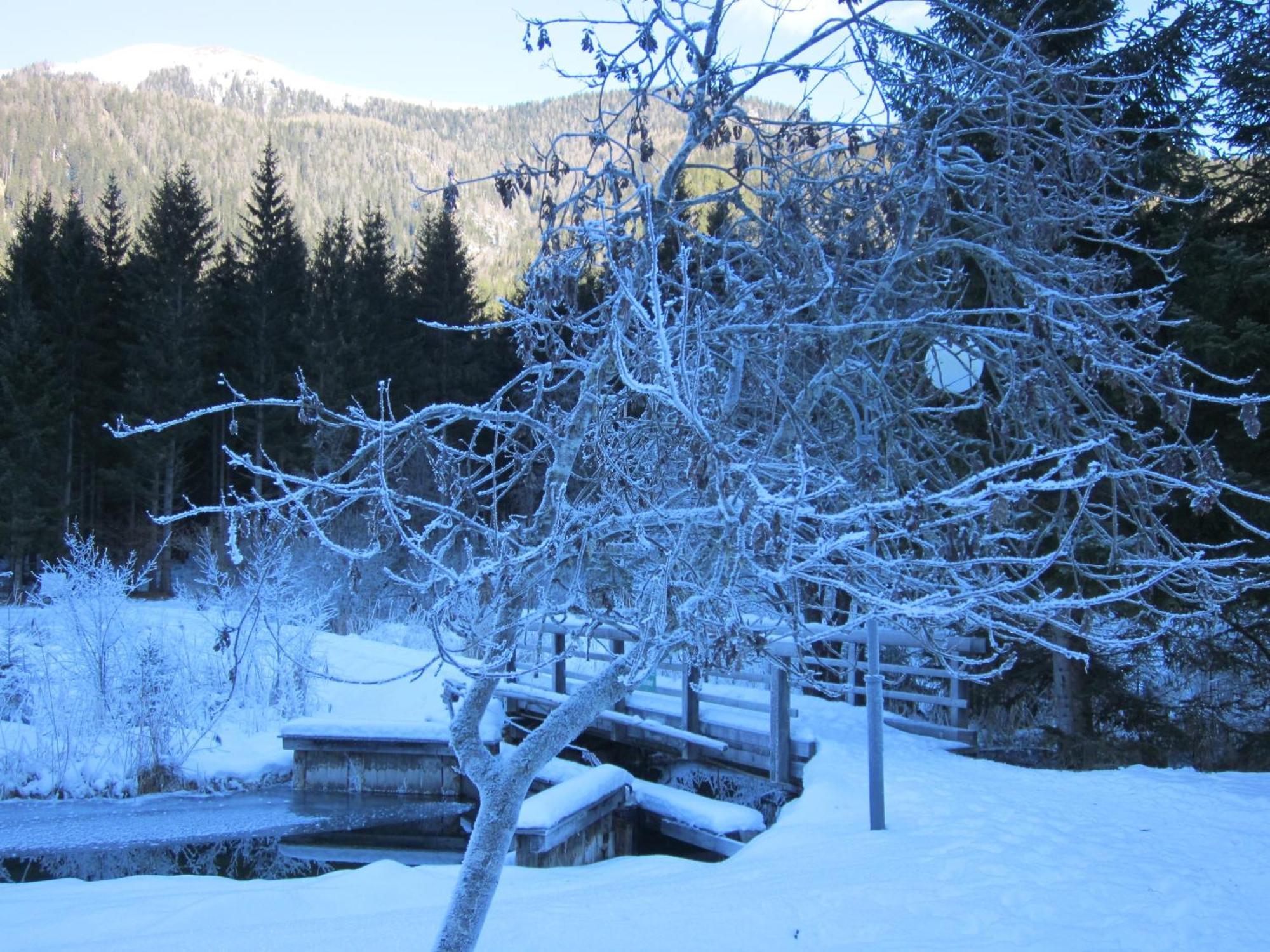 Ferienwohnung Moser Am See Millstatt Buitenkant foto
